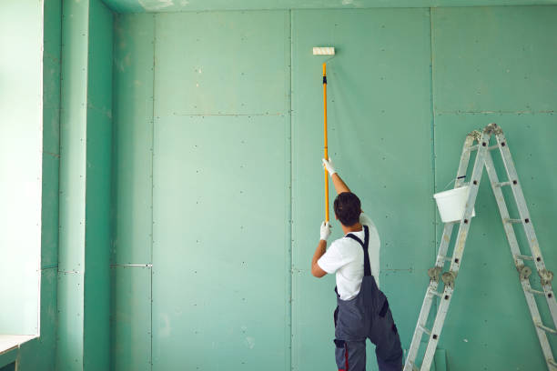 Best Post-Remediation Verification Testing  in Overland Park, KS