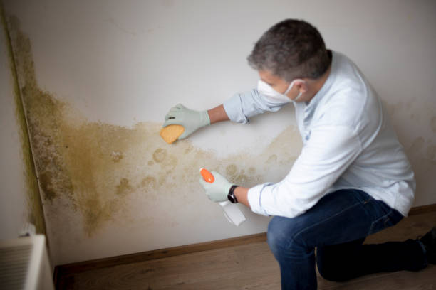 Best Post-Remediation Verification Testing  in Overland Park, KS