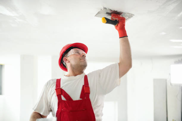 Mold Remediation for Vacation Homes in Overland Park, KS